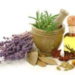 Western Herbal Medicine